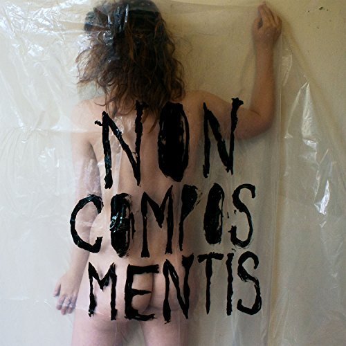 Non Compos Mentis (LP) by i.e. crazy image