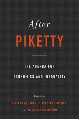 After Piketty image