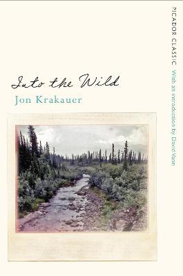 Into the Wild by Jon Krakauer image