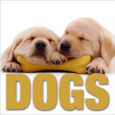 Dogs image