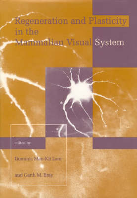 Retina Research Foundation Symposium Proceedings: Volume 4 image