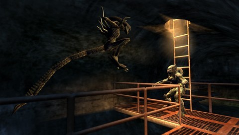 Aliens vs Predator: Requiem for PSP image