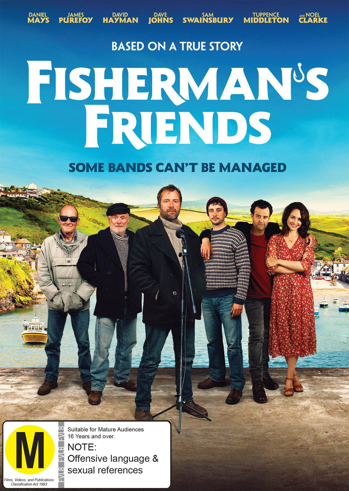 Fisherman's Friends on DVD image