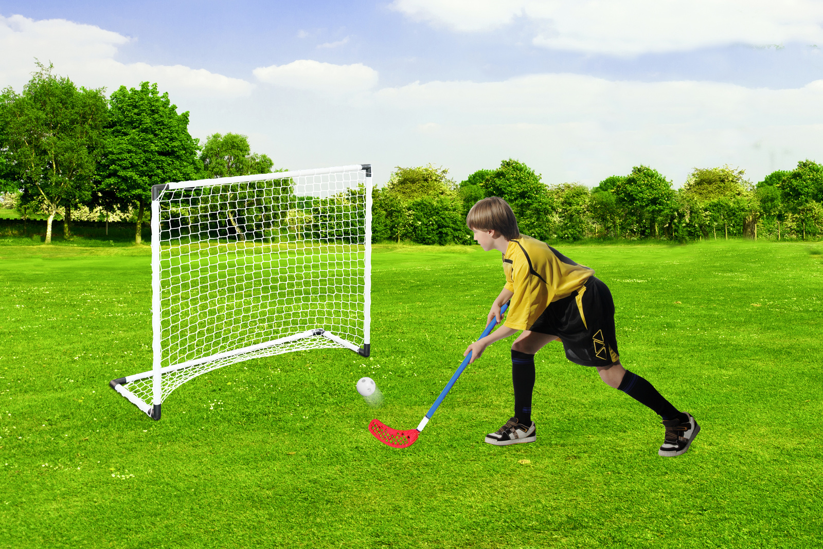 Buy Mini Hockey Goal Set with Plastic Pole & Net + 2 Stick + 1 Ball at