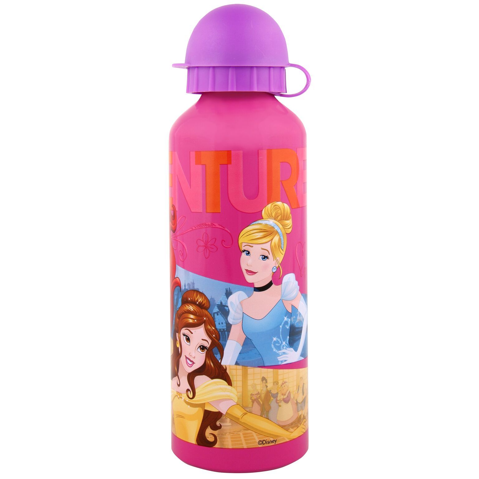 Disney Princess Aluminium Bottle (500ml) image