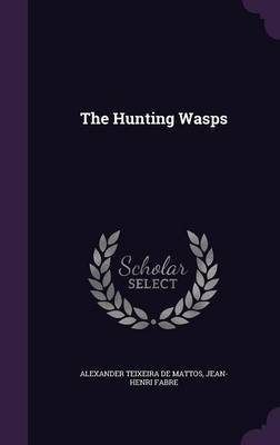 The Hunting Wasps by Alexander Teixeira De Mattos image