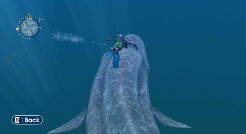 Endless Ocean for Nintendo Wii image