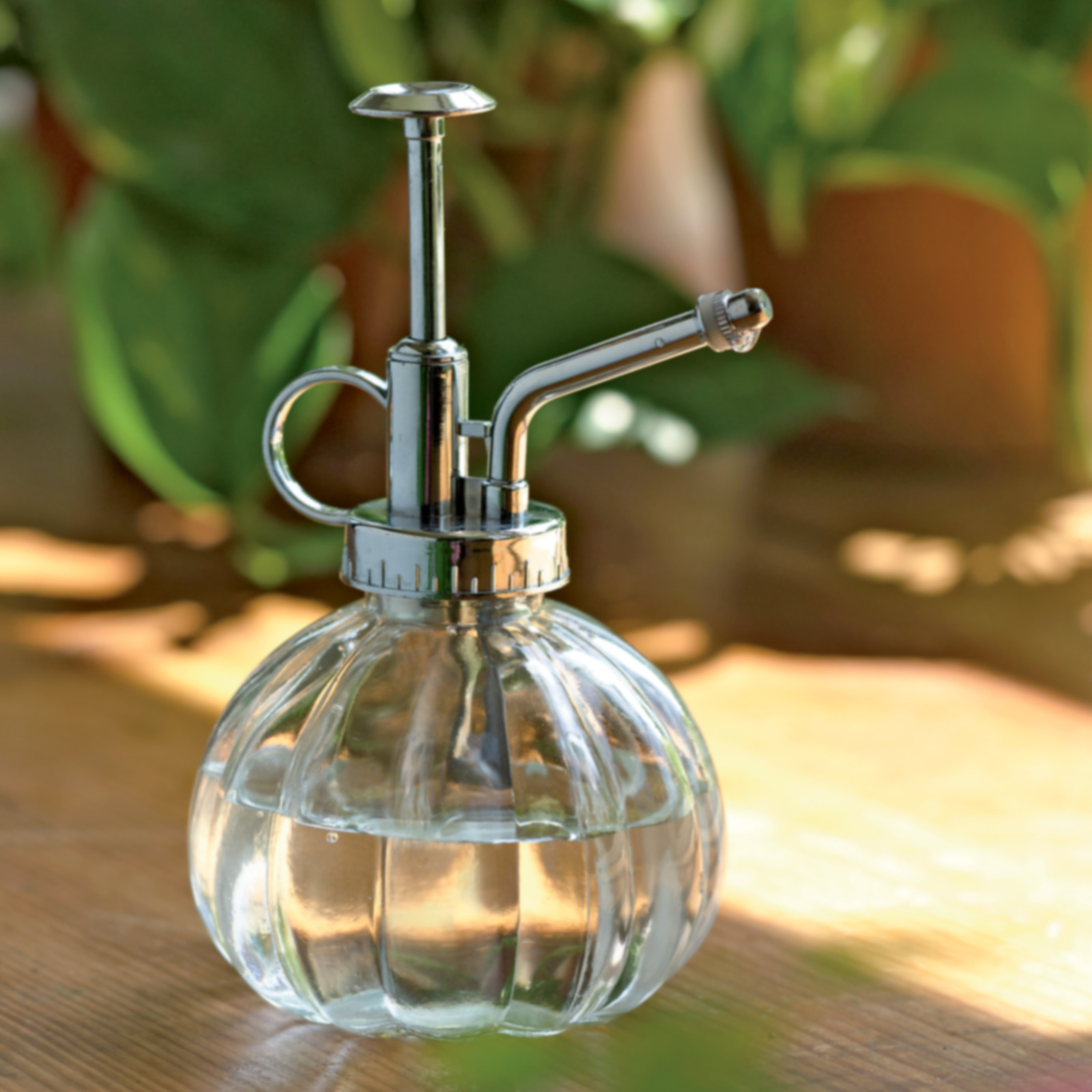 Botanical Plant Mister at Mighty Ape NZ