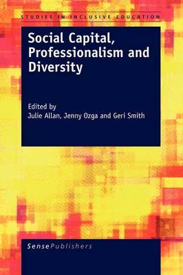 Social Capital, Professionalism and Diversity image