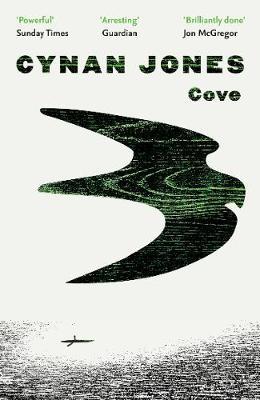 Cove by Cynan Jones image