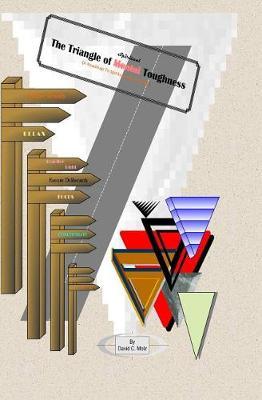 The Triangle of Spiritual Toughness by David C Molz image