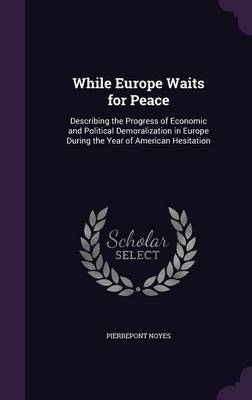 While Europe Waits for Peace by Pierrepont Noyes image
