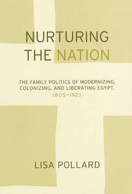 Nurturing the Nation by Lisa Pollard image