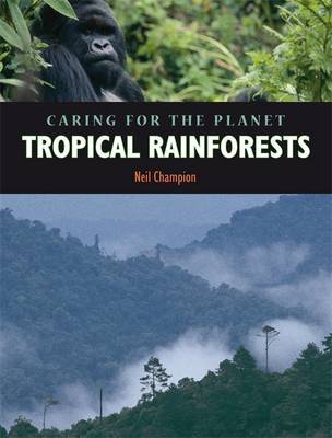 Rainforest by Nigel Champion image