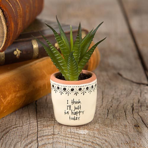 Natural Life: Succulent - I Think I'll Be Happy image