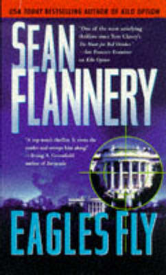 Eagles Fly by Sean Flannery image