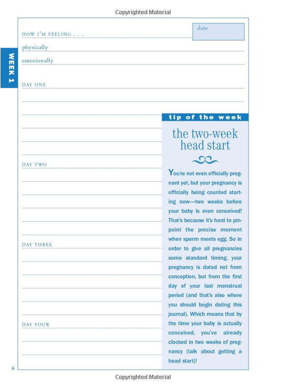 What To Expect Pregnancy Journal Organizer Heidi Murkoff Book In what-to-expect-pregnancy-journal-organizer-heidi-murkoff-book-in