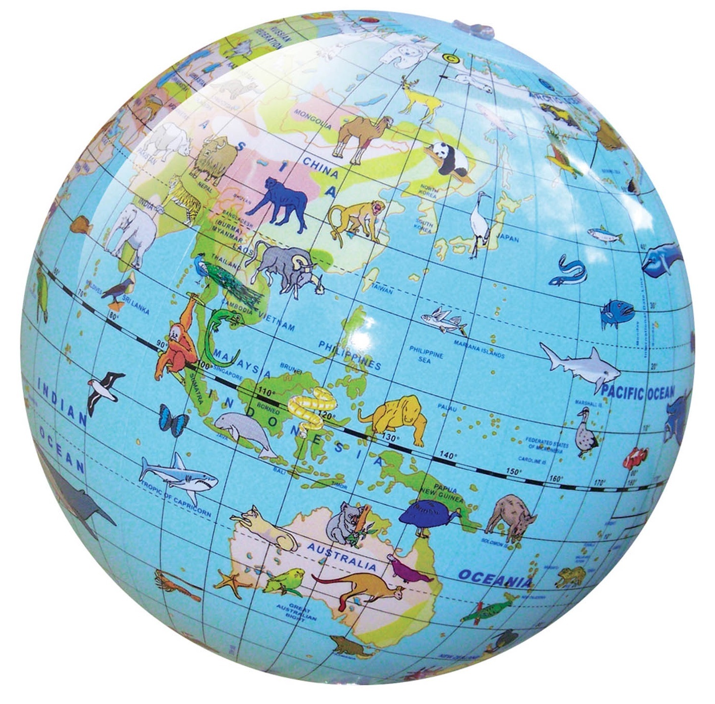 Buy World Globes - Animal (30cm) at Mighty Ape NZ