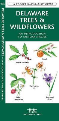 Delaware Trees & Wildflowers : An Introduction to Familiar Species by Senior Consultant James Kavanagh (Senior Consultant, Oxera Oxera Oxera) image