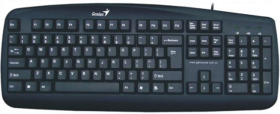 Genius KB-110 USB Keyboard Black