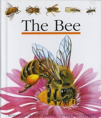 The Bee by Ute Fuhr image