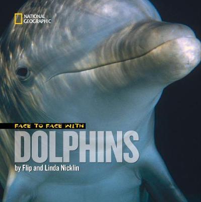 Face to Face with Dolphins by Flip Nicklin image