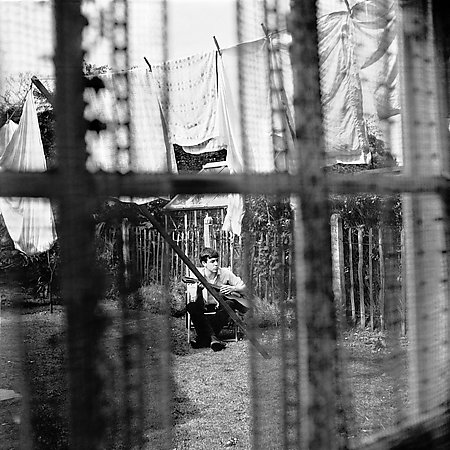 Chaos & Creation In The Back Yard by Paul McCartney image