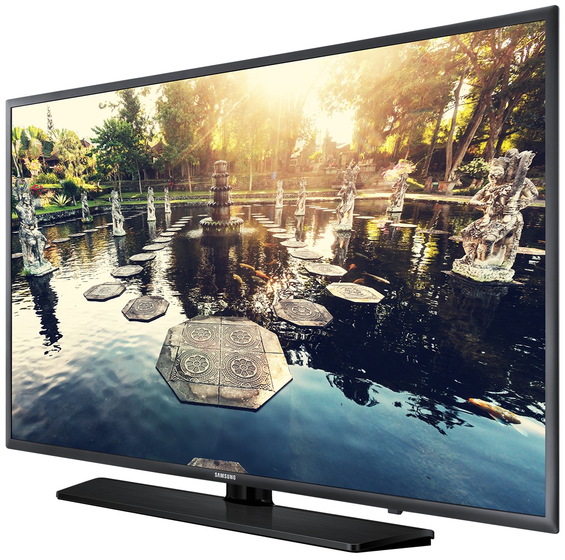 43" Samsung HE69X Hospitality Display image