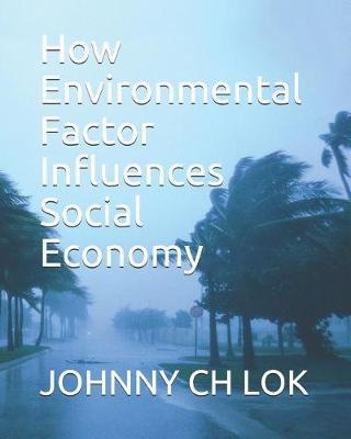 How Environmental Factor Influences Social Economy by Johnny Ch Lok image