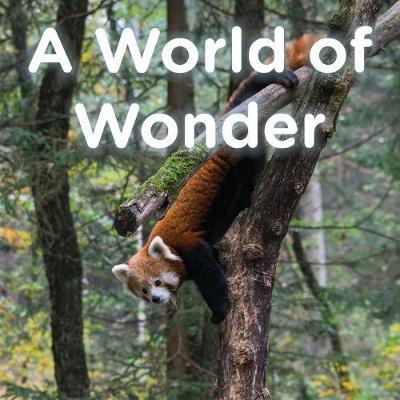 A World of Wonder by Brent A Ford image