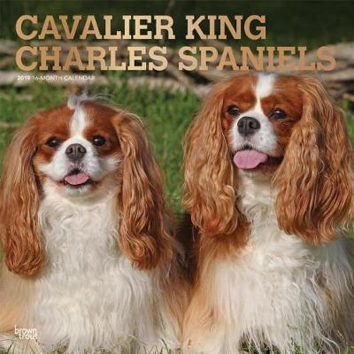 Cavalier King Charles Spaniels 2019 Square Wall Calendar image