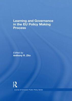 Learning and Governance in the EU Policy Making Process image