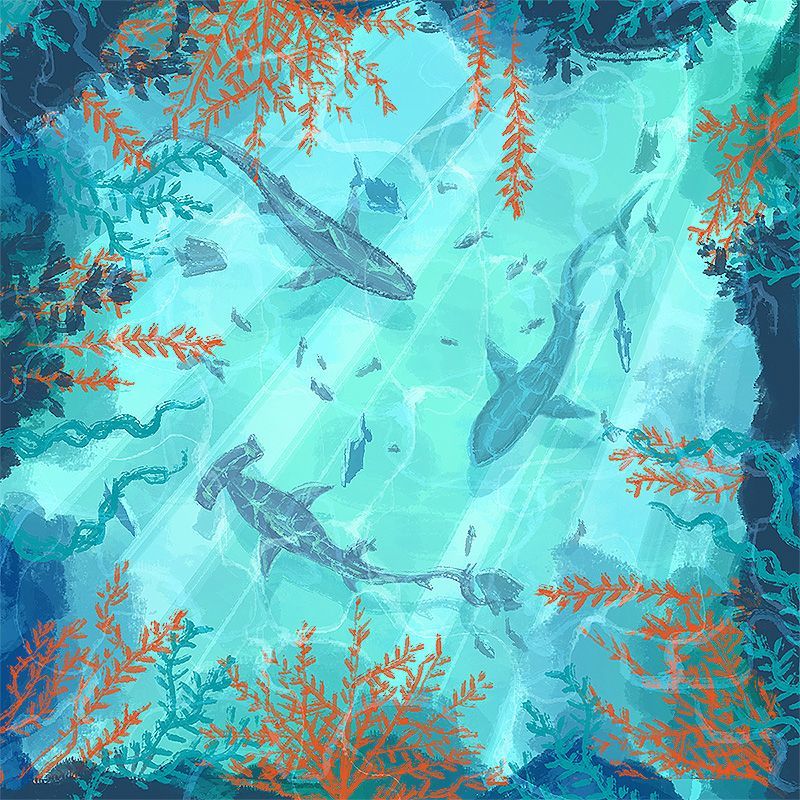 Dive Board Game at Mighty Ape NZ