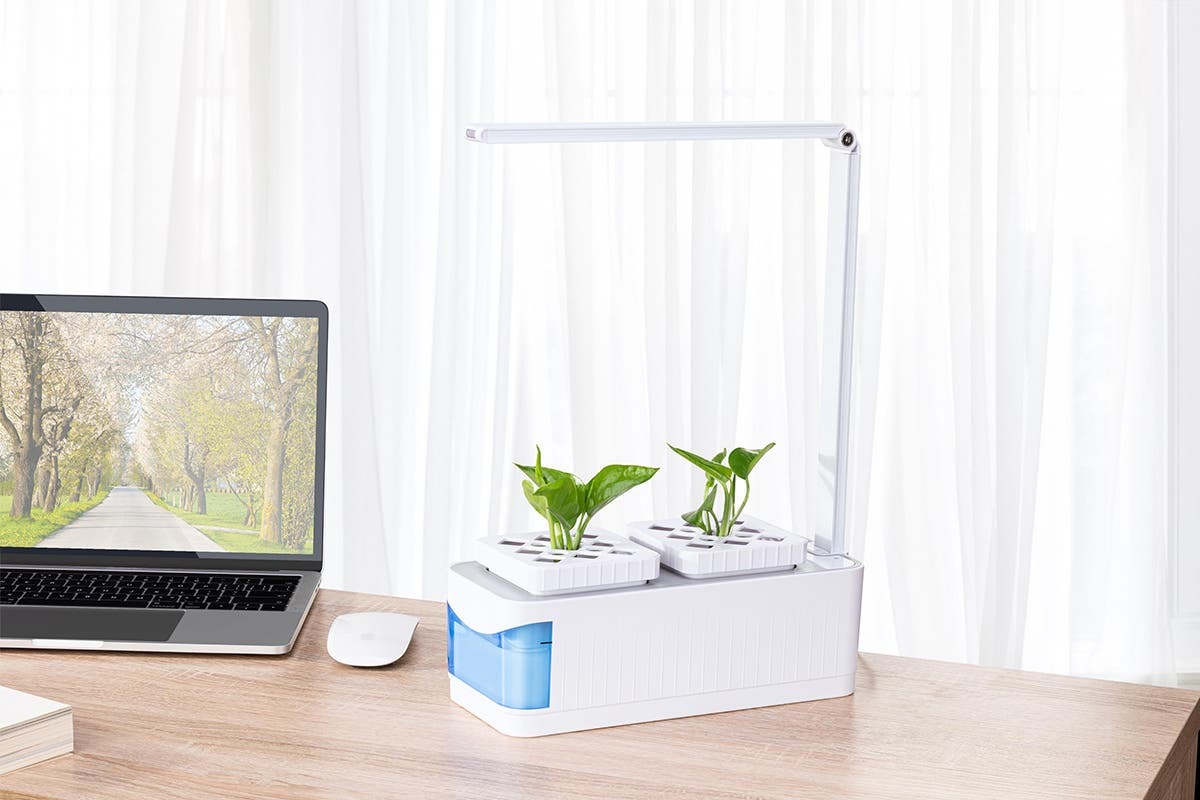 Certa SelfWatering Pot Plant with LED Grow Light at Mighty Ape NZ