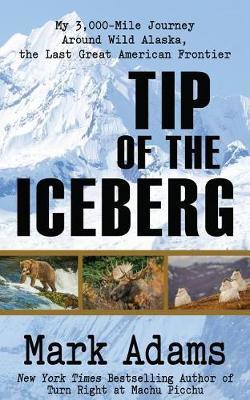 Tip of the Iceberg by Mark Adams image