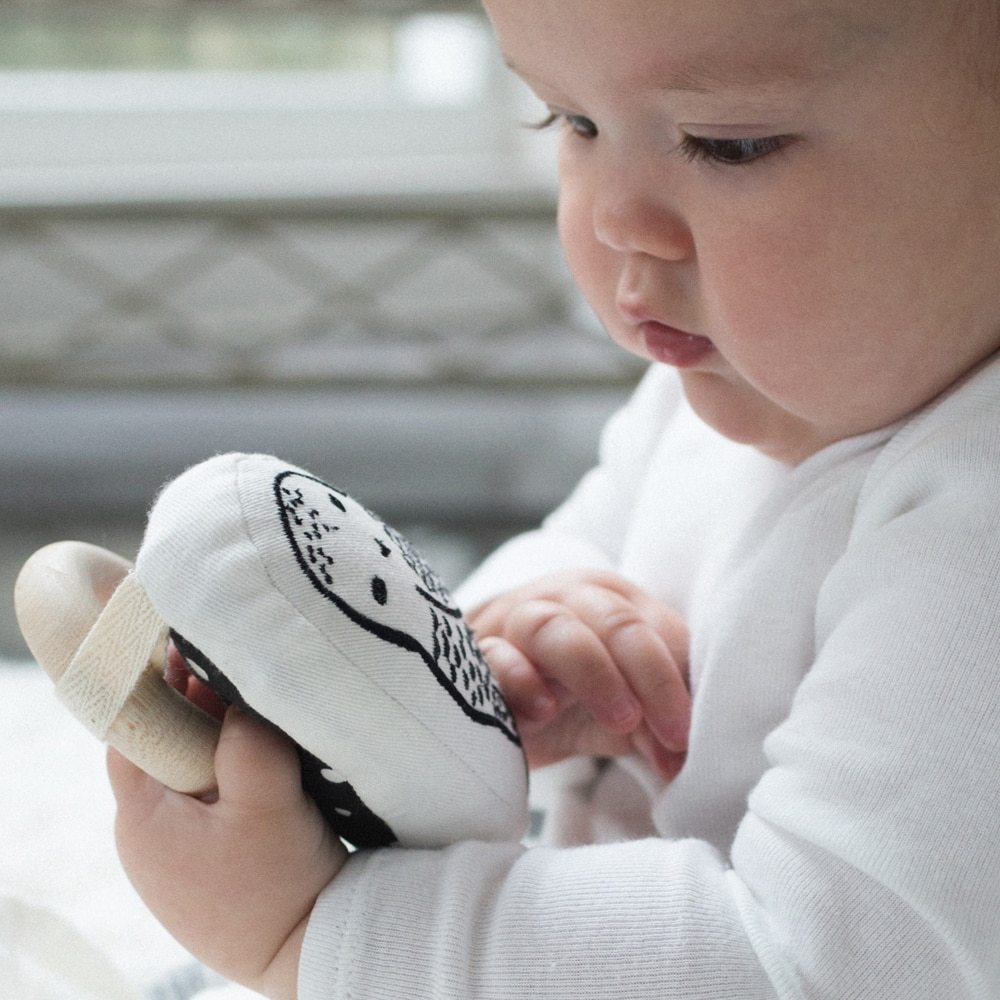 Wee Gallery: Organic Cotton Rattle - Owl image
