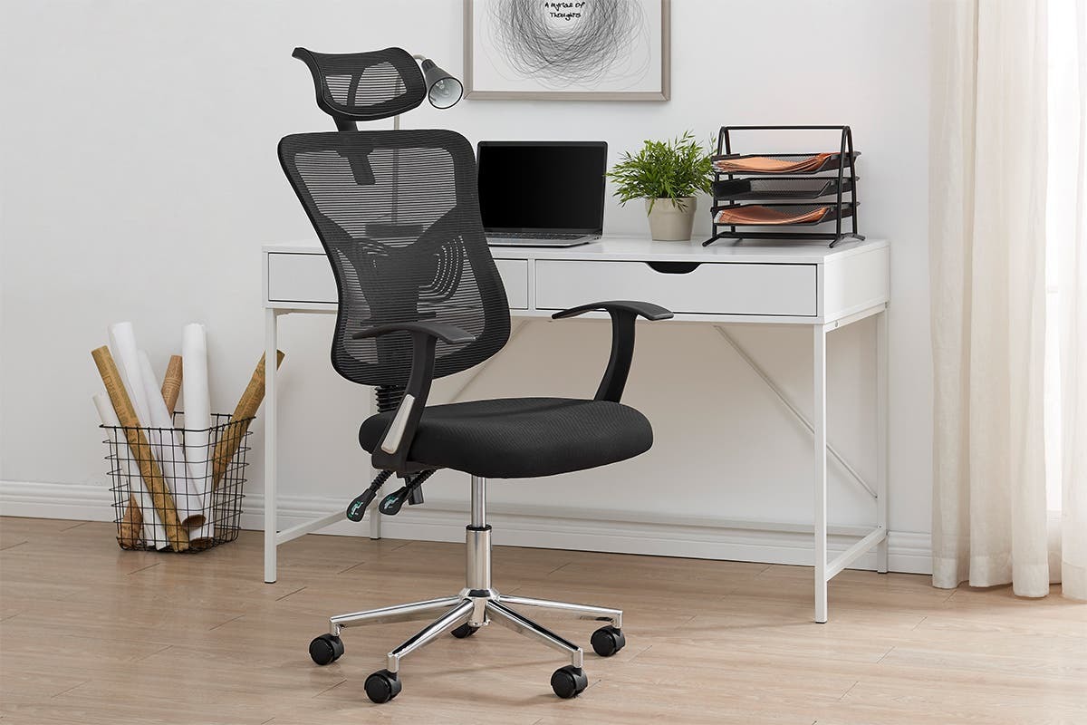 Buy Ergolux Endever Ergonomic Chair (Black) at Mighty Ape NZ