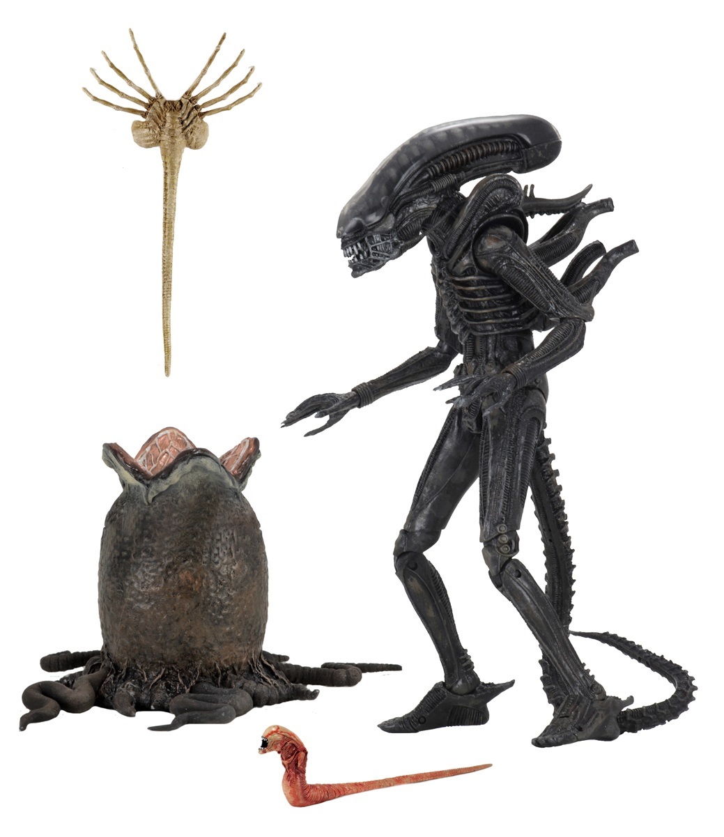 Xenomorph (Big Chap) - 7″ Ultimate Figure image