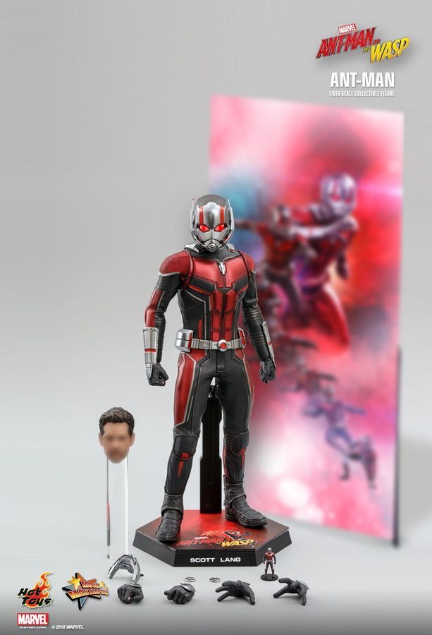 Marvel: Ant-Man (Antman & The Wasp) - 12" Articulated Figure image