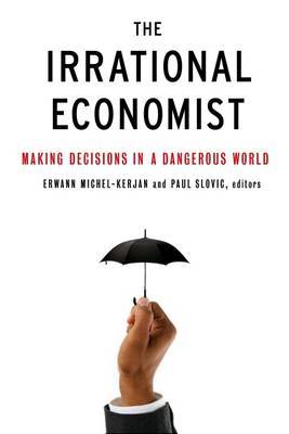The Irrational Economist: Making Decisions in a Dangerous World by Erwann Michel-Kerjan image