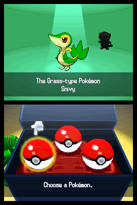 Pokemon Black Version for Nintendo DS image