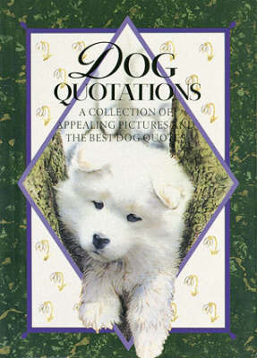 Dog Quotations image