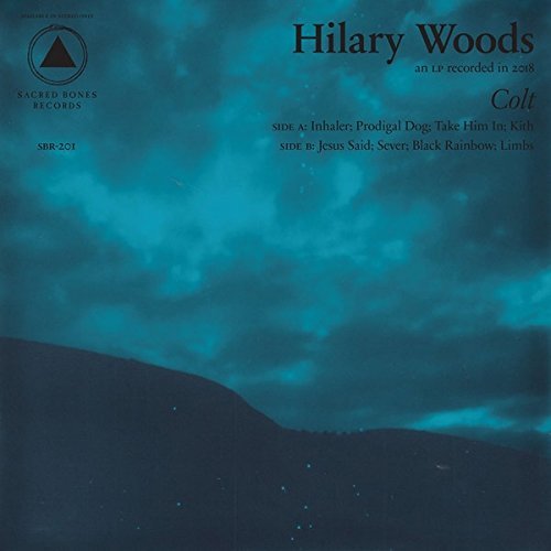 Colt on Vinyl by HILARY WOODS