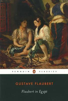 Flaubert in Egypt image