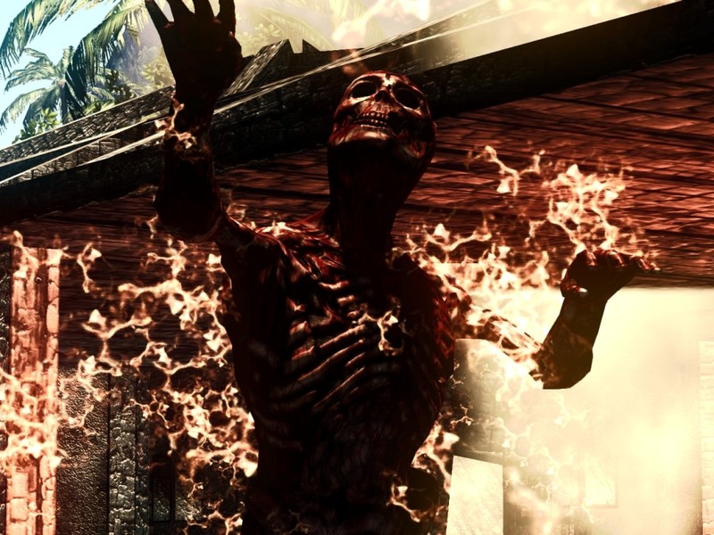 Dead Island for PS3 image