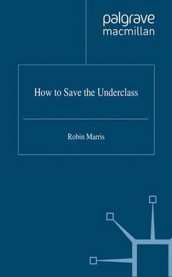 How to Save the Underclass image