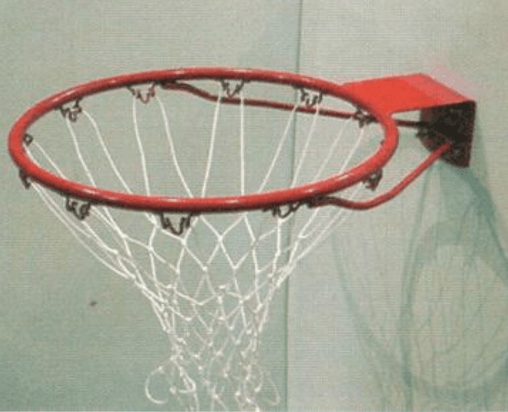 Stag Baketball Hoop And Net image