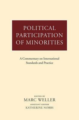 Political Participation of Minorities image