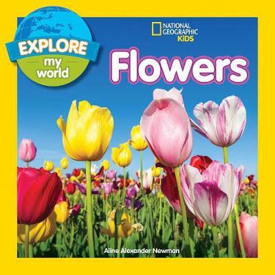 Flowers by Aline Alexander Newman image