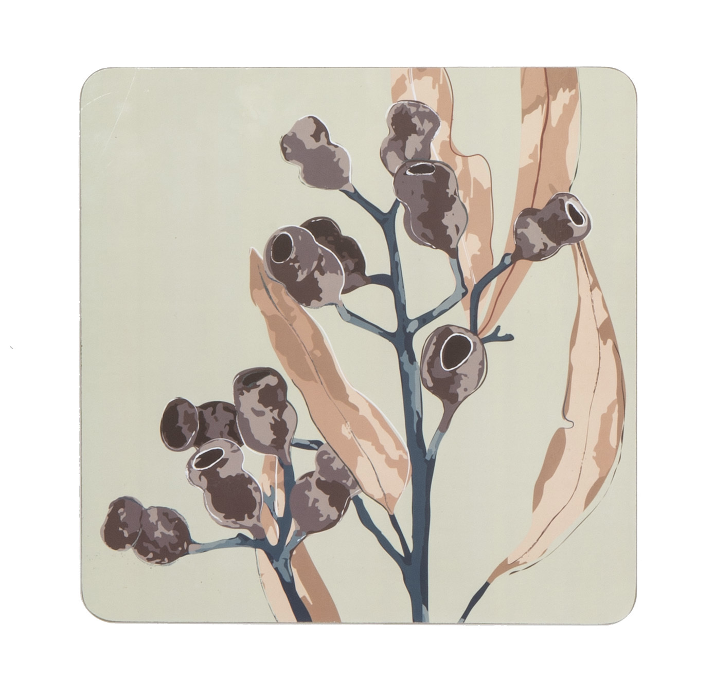 Amalfi Gumnut Cork Hardback Placemats Set/4 at Mighty Ape Australia